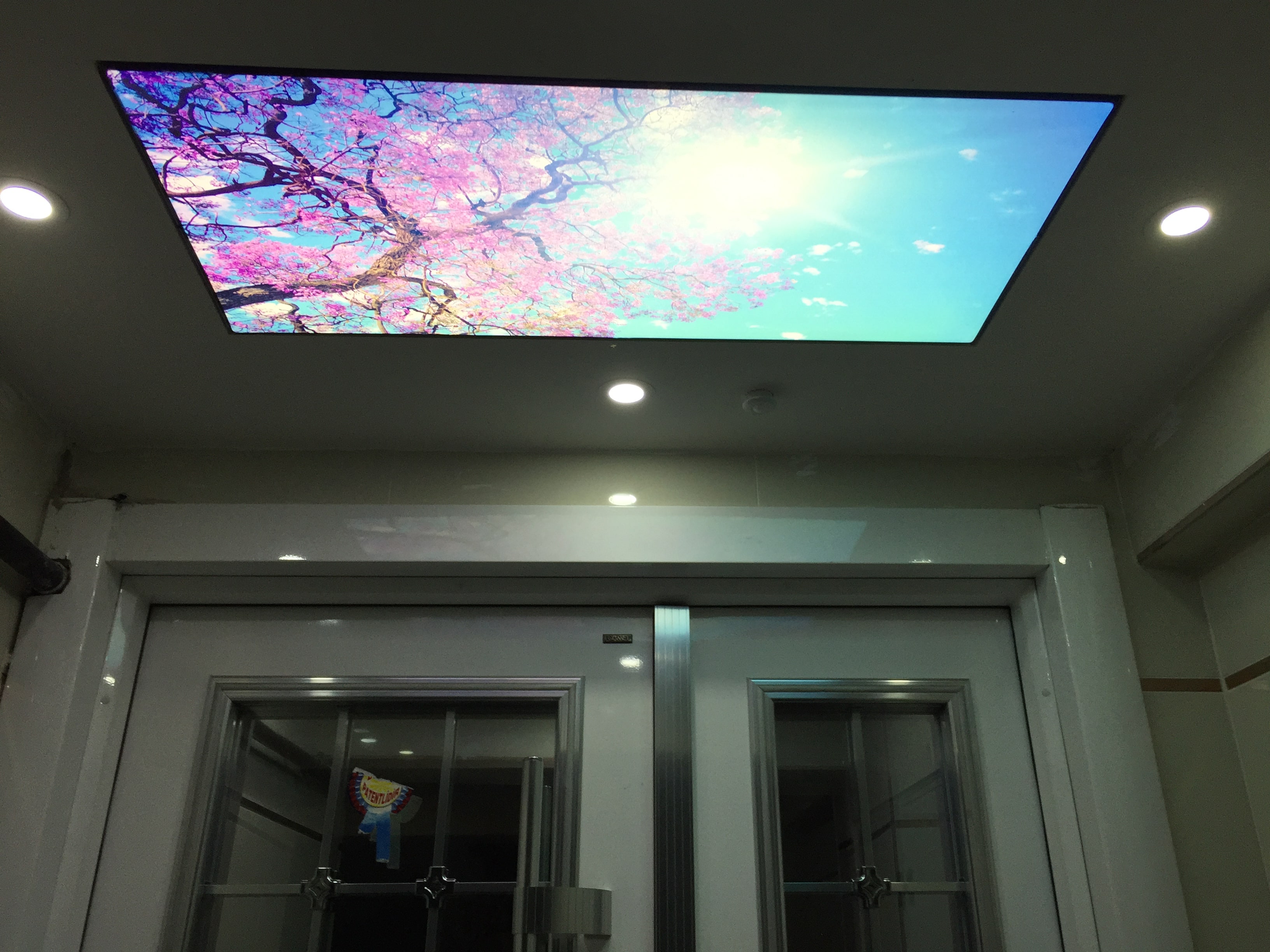 Yılmaz Apartmanı 1